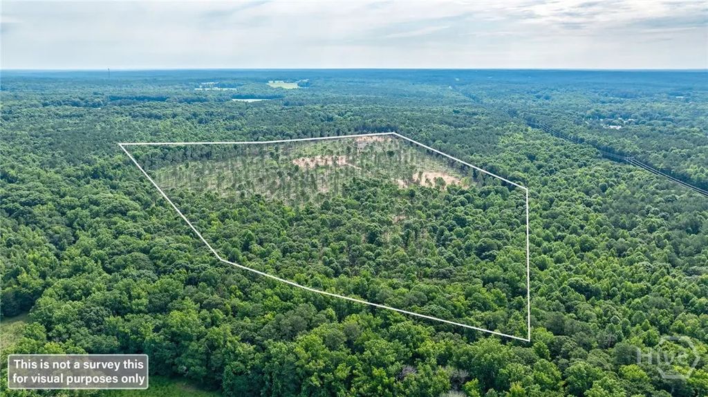 0 Wilson Lane, Arnoldsville