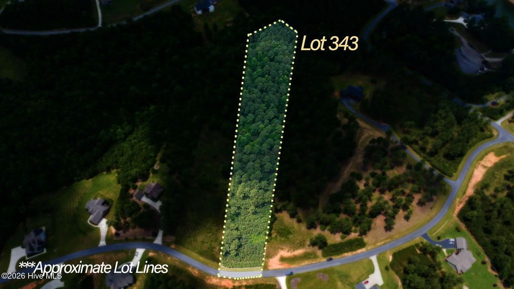 Lot 343 Loop Lane, Blairsville