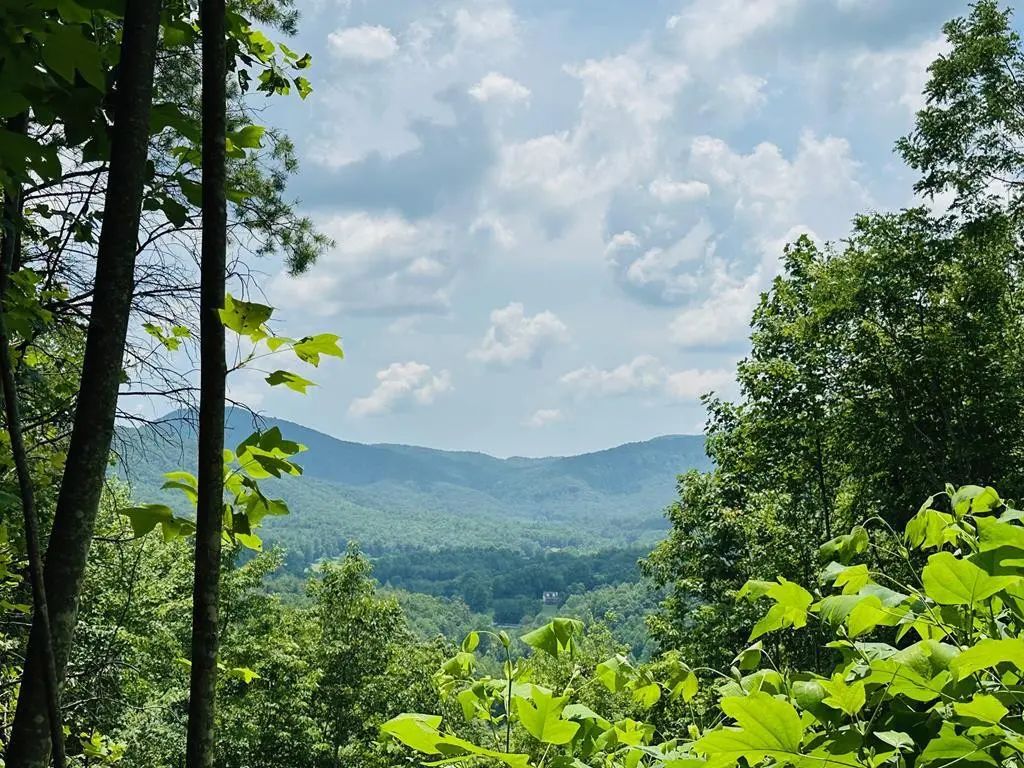 Lot 13 View Ridge Trail, Murphy