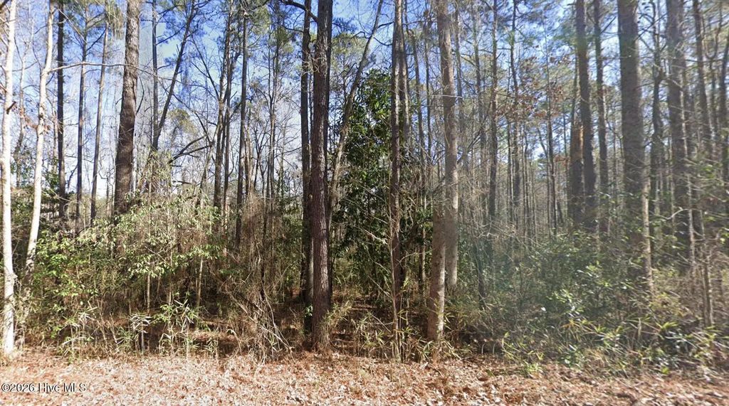 1669 Rainey Drive, Spring Lake
