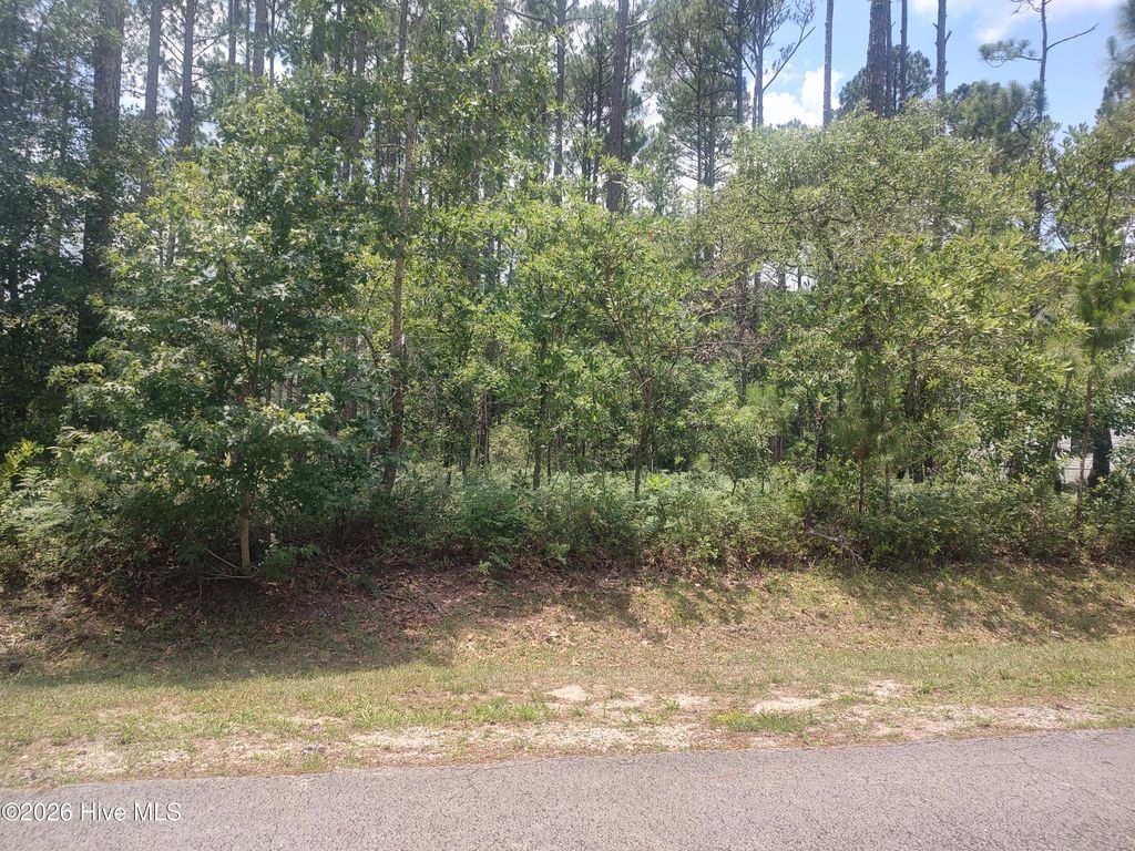 906 Bee Tree Court, New Bern
