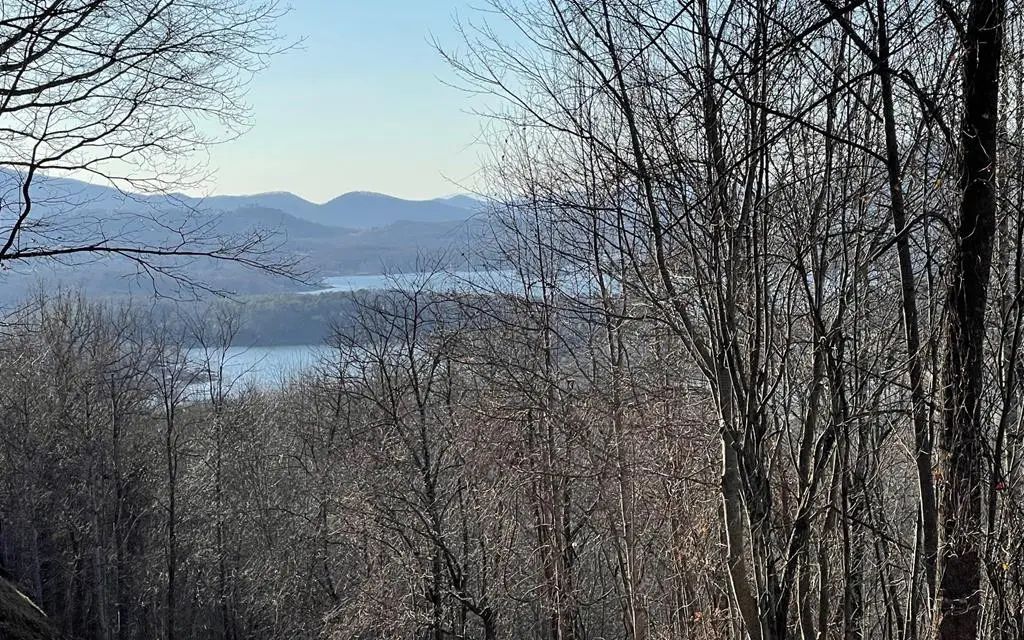 Lot 63 Dan Knob, Hayesville