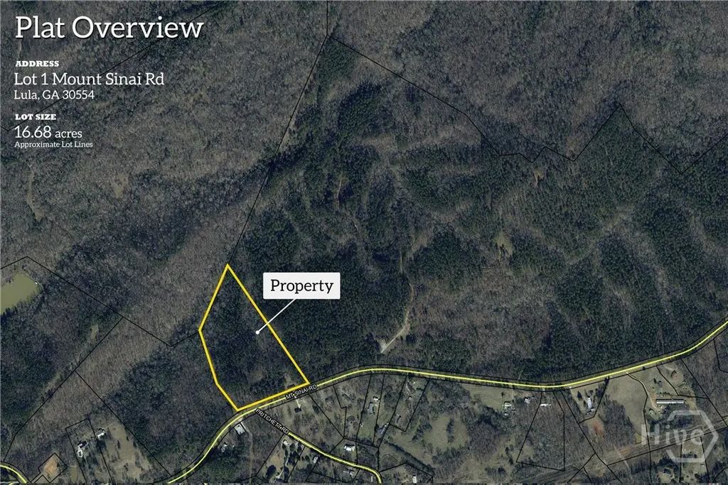 0 Mt Sinai Rd Lot 1, Lula