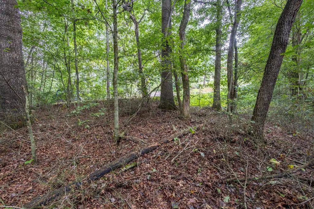 3 Ac Chestnut Flats Road, Andrews