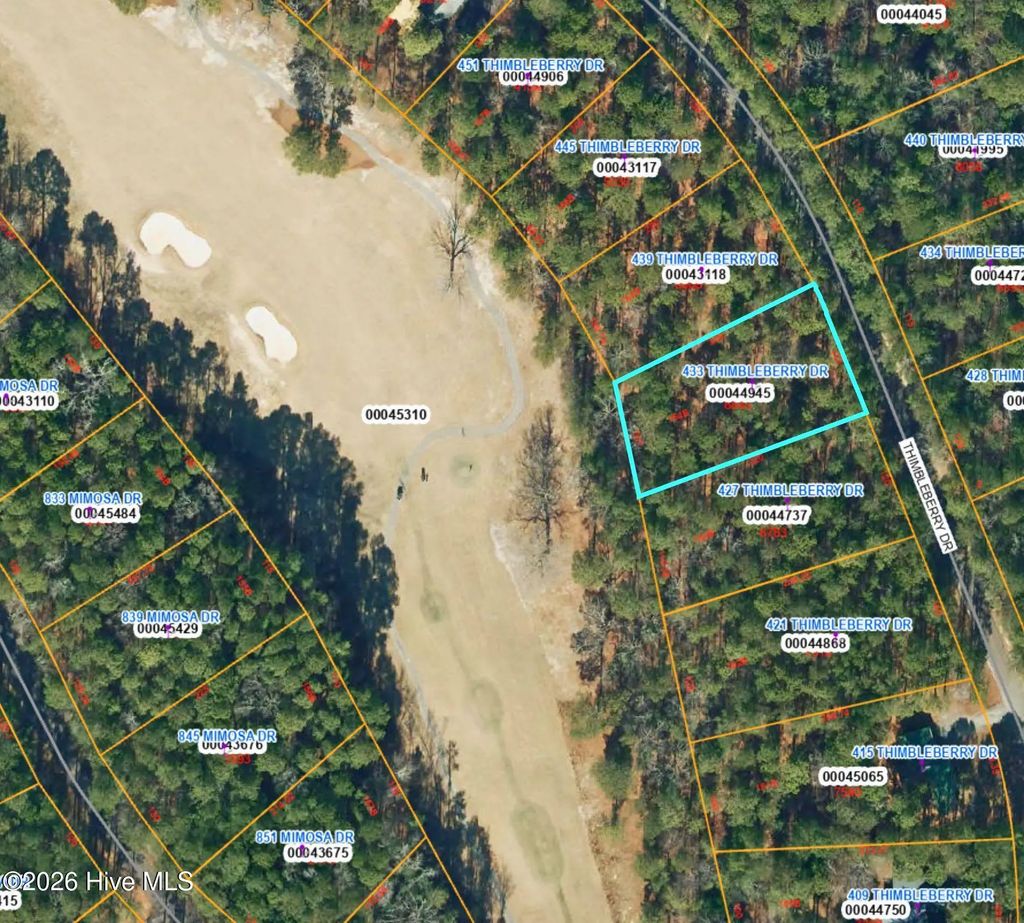 433 Thimbleberry Drive, Vass