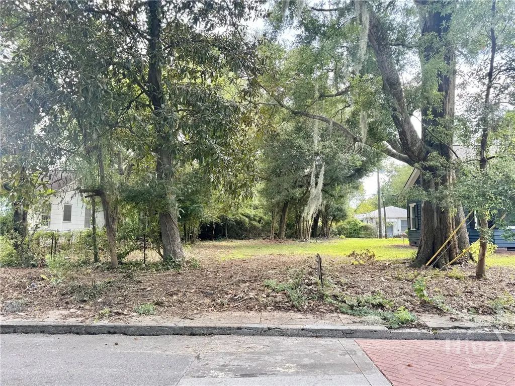 503 Durant Avenue, Savannah