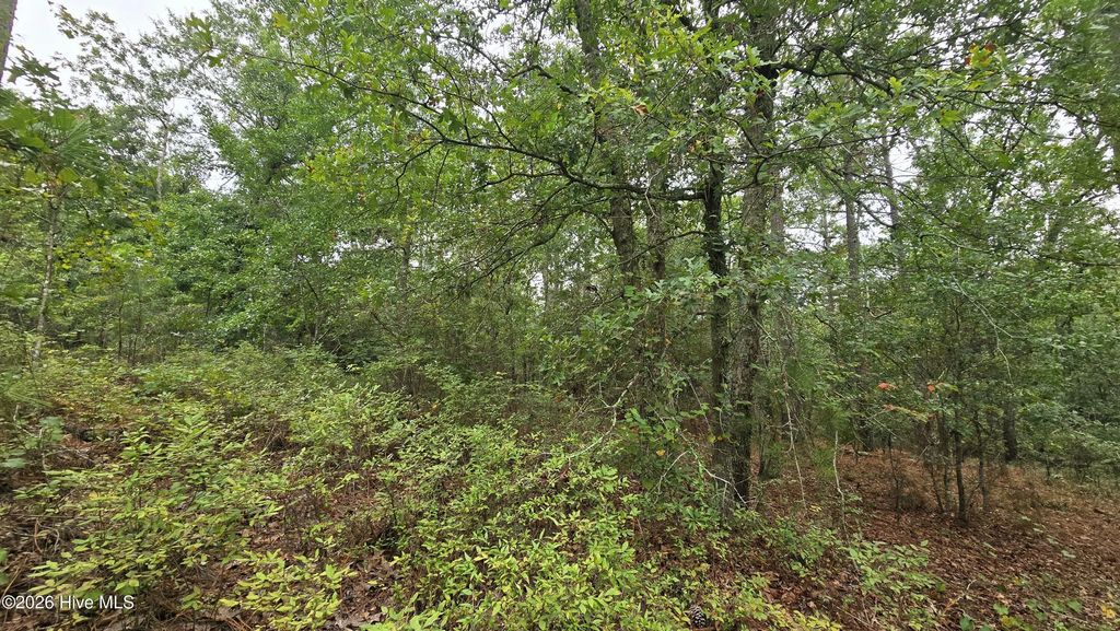 Lot 9 & 10 Cleora Murray Drive, Aiken
