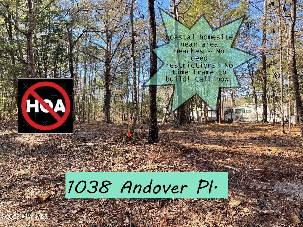1038 Andover Place Se, Bolivia