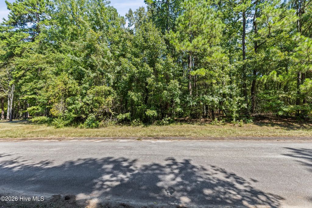 1384 Tanyard Creek Drive, Thomson