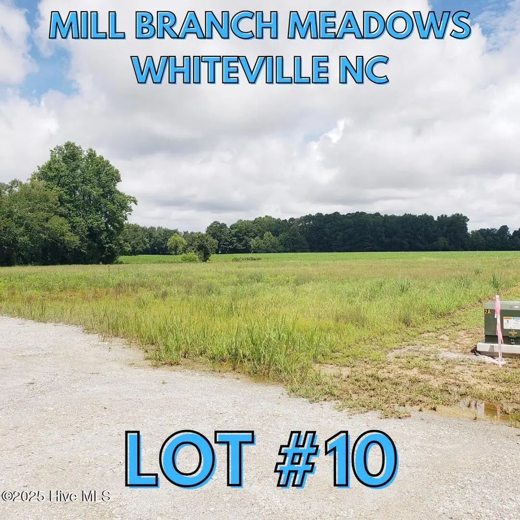 104 Mill Branch Drive, Whiteville