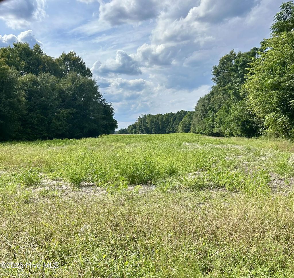 Tr #2 Mcqueen Road, Laurinburg