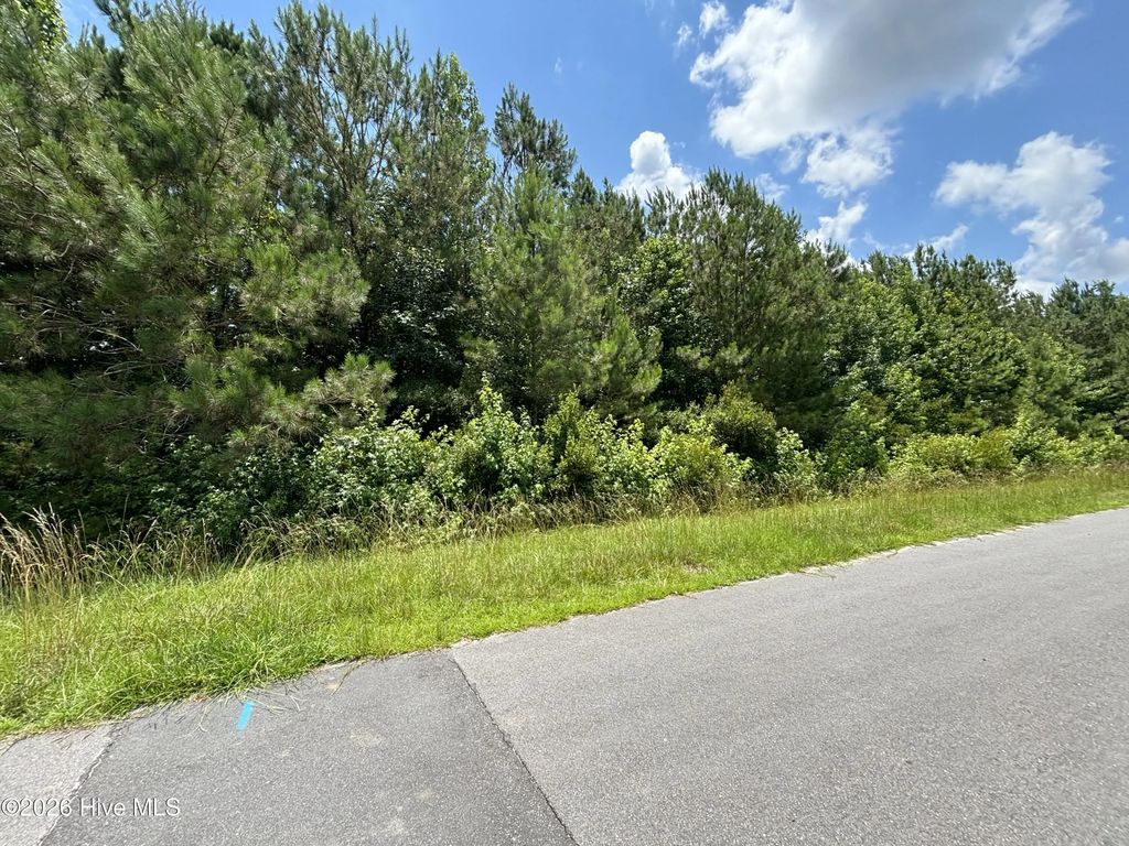 0 Progress Drive, Burgaw