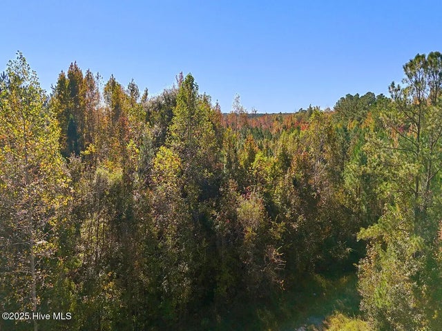 24451 50, Maple Hill