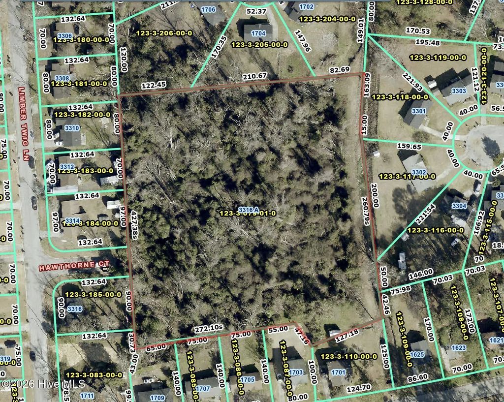 3316a Limber Twig Lane, Richmond