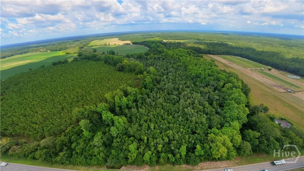 10600 Us Highway 80 East, Brooklet