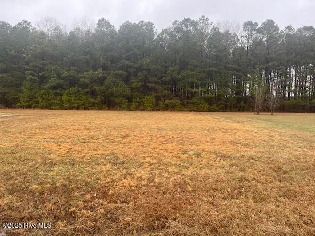 0000 Hillside Drive, Rich Square