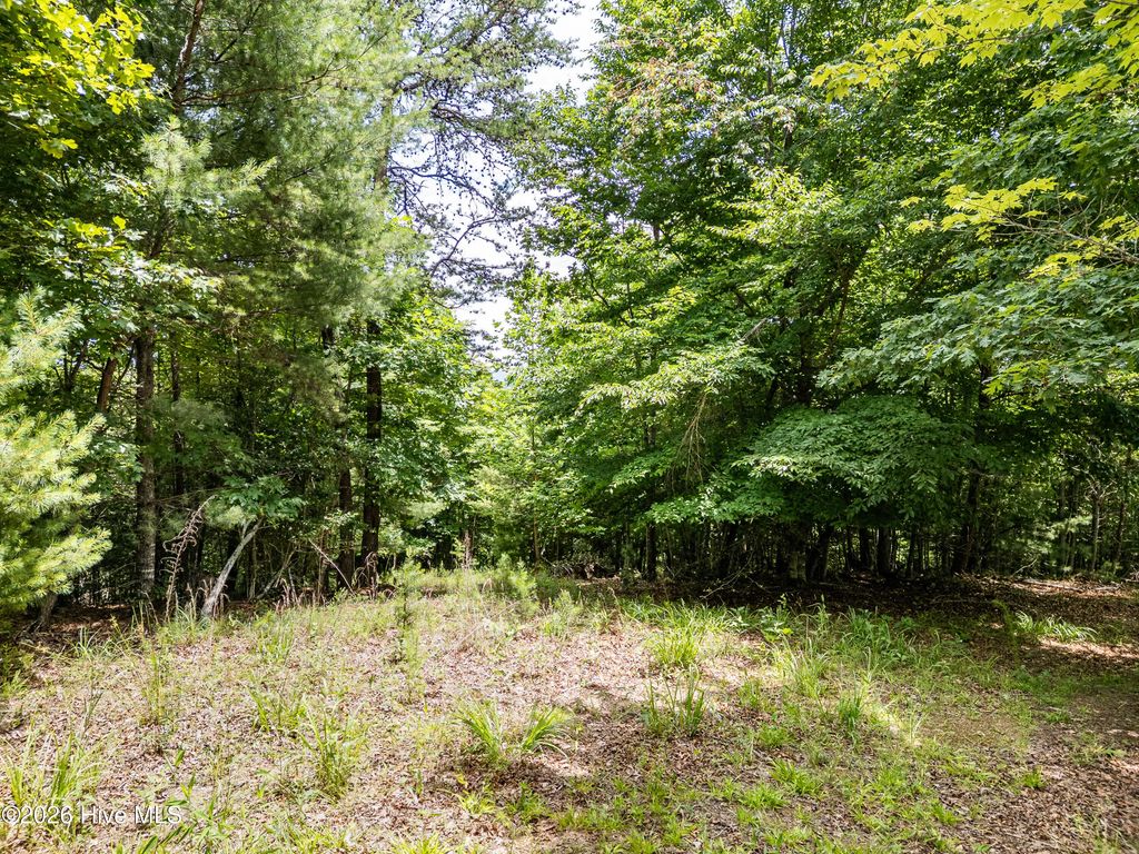 2 Stormy Ridge, Brasstown