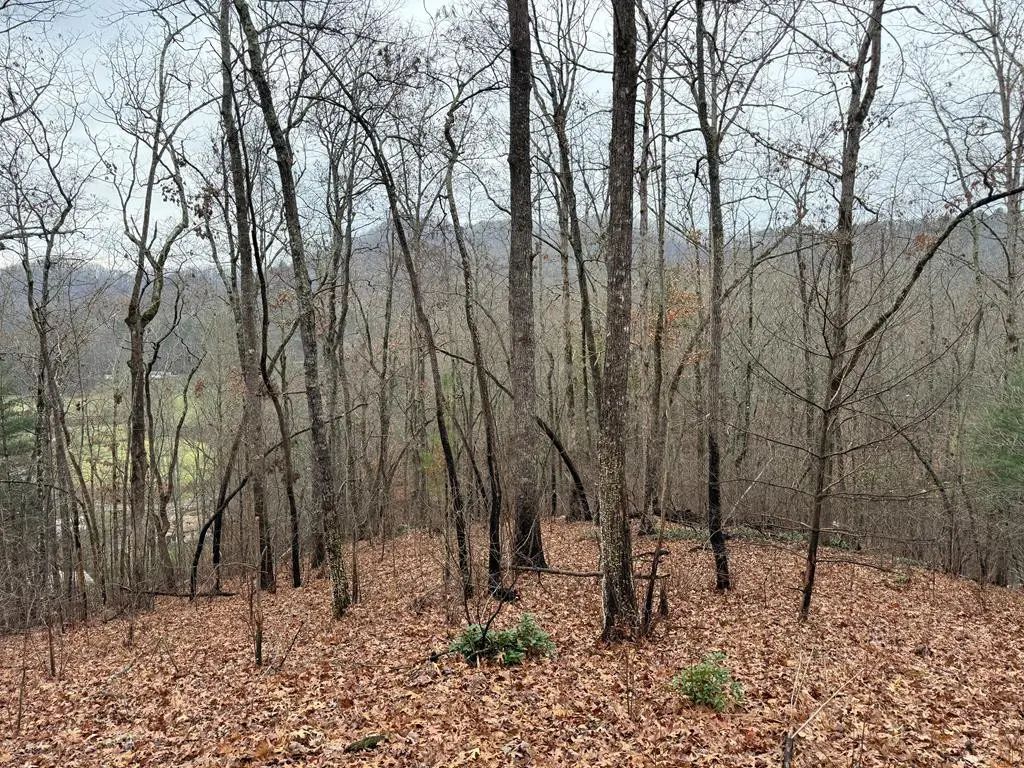 0 Flaming Ridge, Hayesville