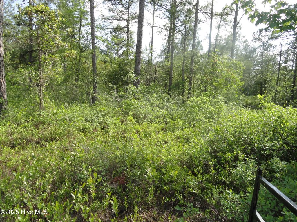 2 River Trail, Burgaw