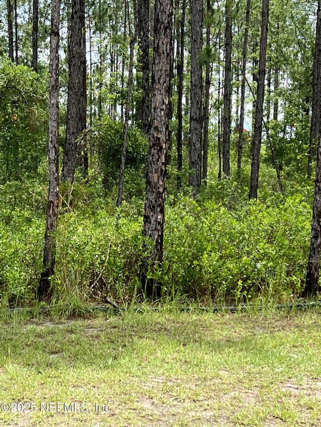 Canaveral Trace, Middleburg