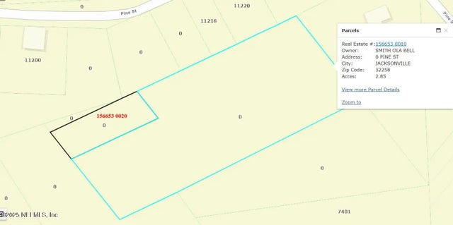 Pine Street, Jacksonville