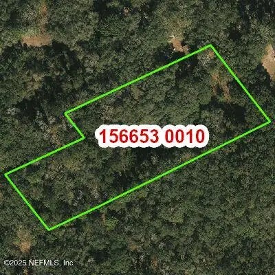 Pine Street, Jacksonville