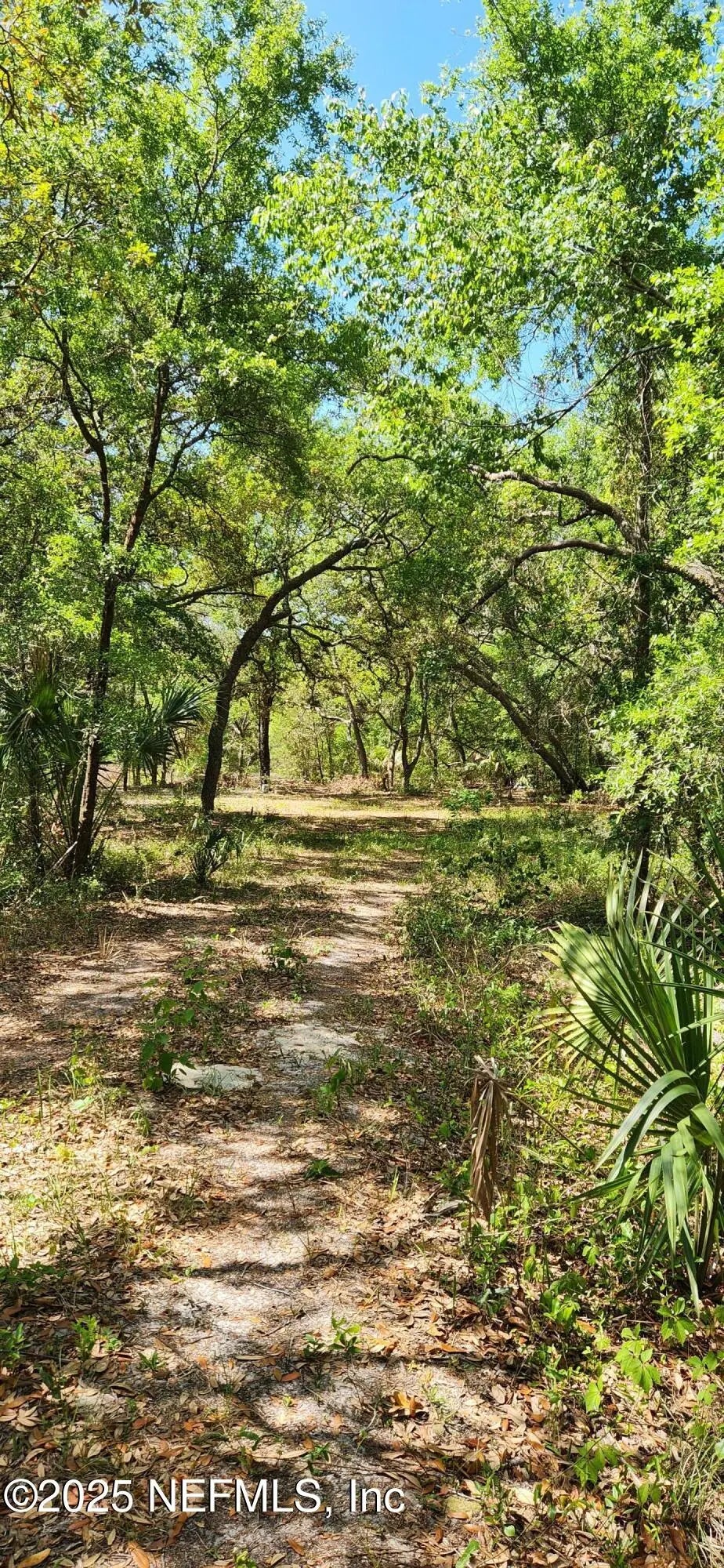 209 Mangrove Street, Pomona Park