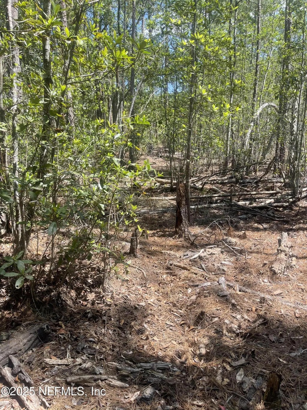 109 Arden Street, Georgetown