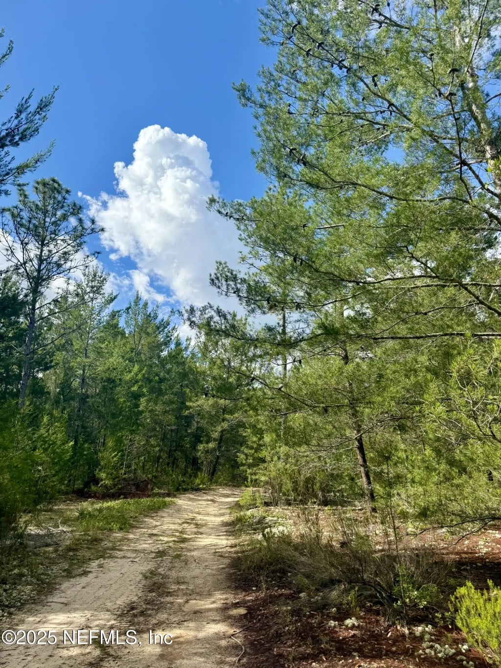 269 Alabama Drive, Hawthorne