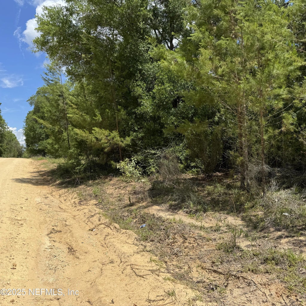 Cardinal Street, Interlachen