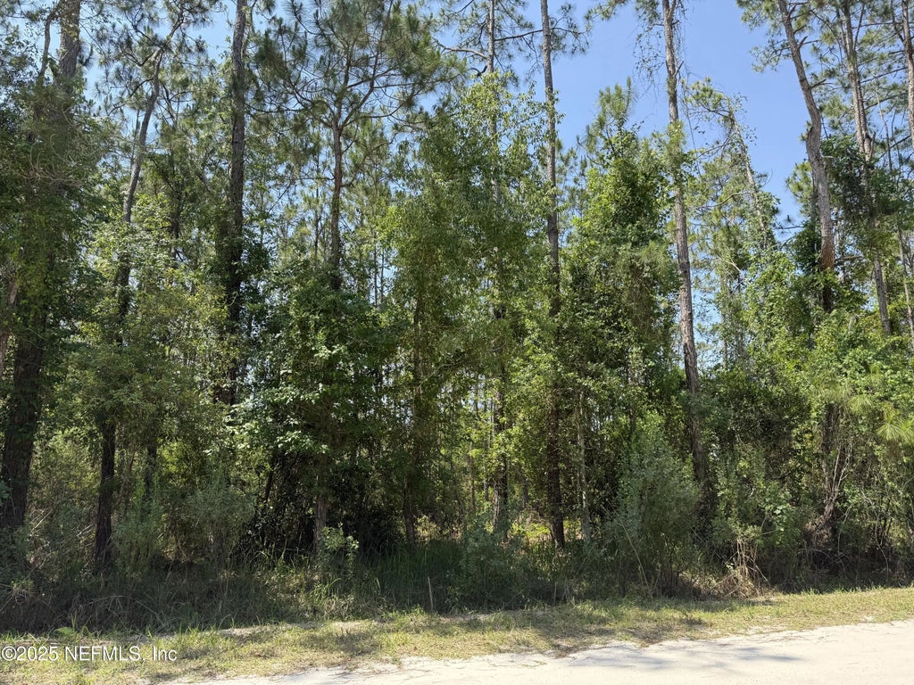 109 White Pine Lane, Georgetown