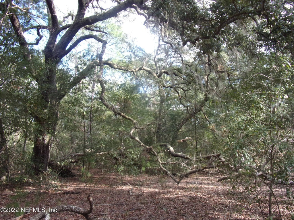 S County Road 315, Interlachen