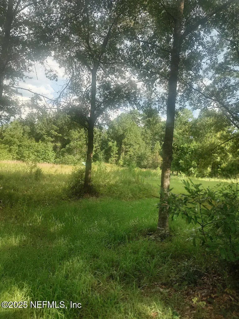 1931 Nolan Road Middleburg Property - 5 2a456a41c1d10db8499d89c3a633b993 L