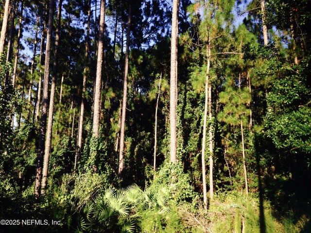 Fawn Lake Drive S, Jacksonville