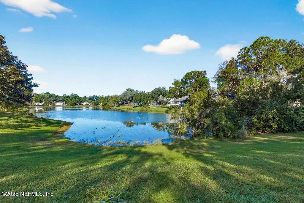 4588 Carolyn Cove Lane S, Jacksonville