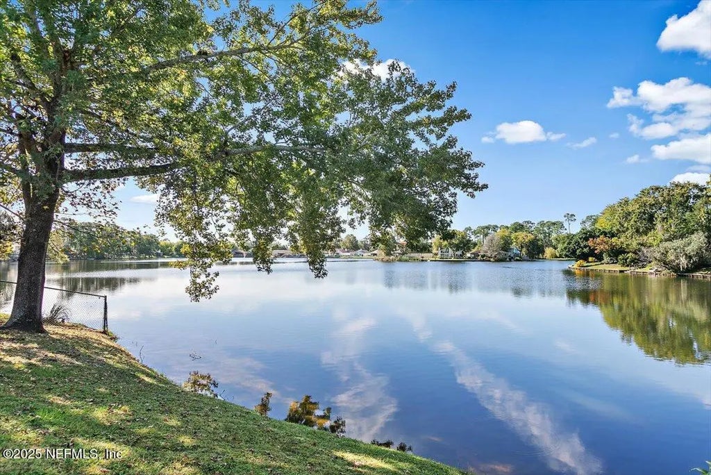 3526 Peerless Dock Court, Jacksonville
