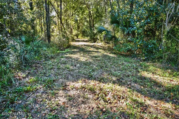 16082 Ressie Drive W, Jacksonville