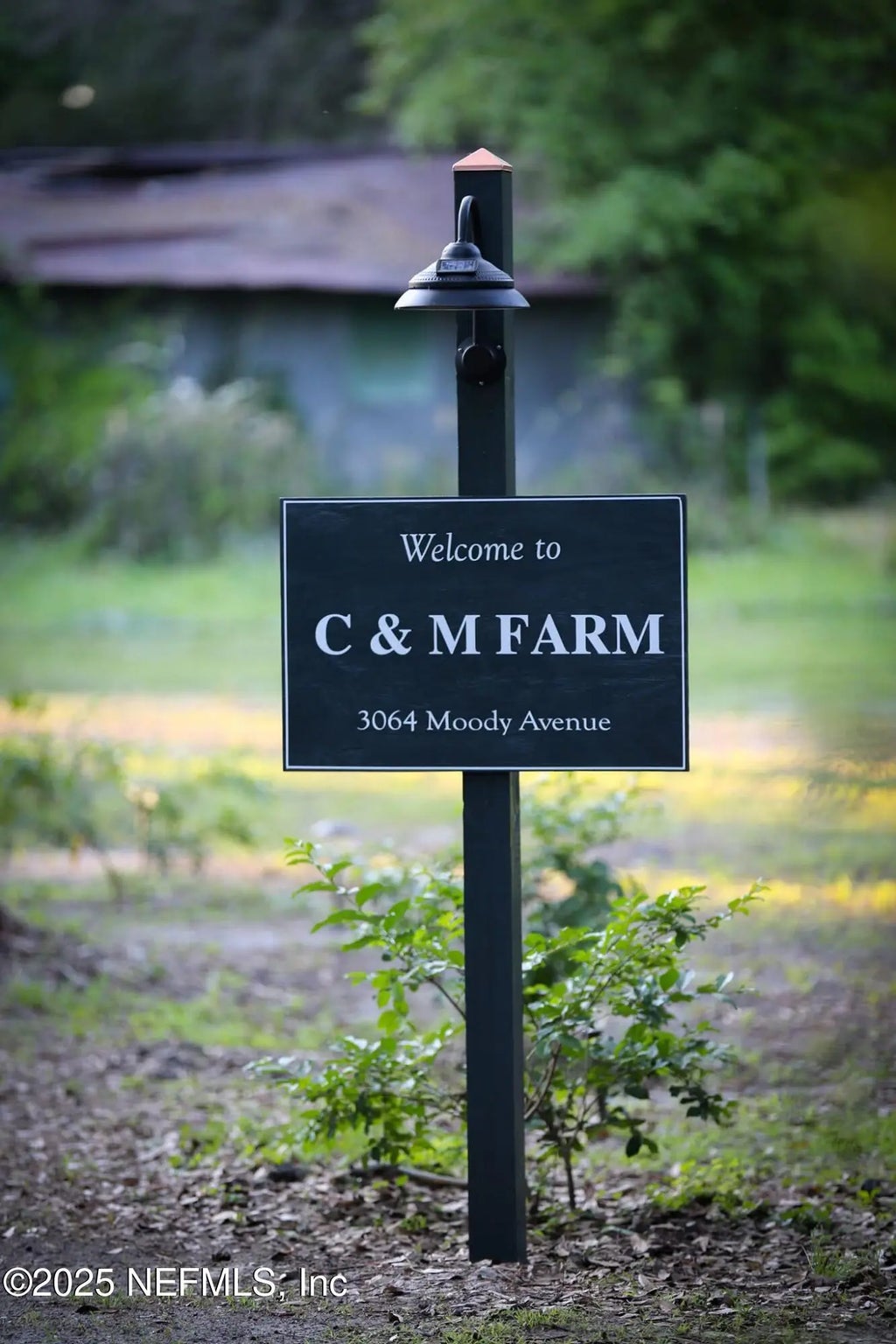 3064 Moody Avenue, Orange Park