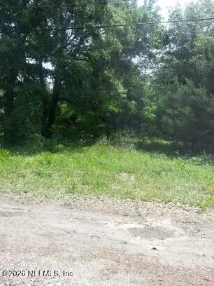 10695 Mclaurin Road E, Jacksonville