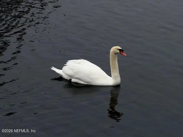 26 Fox Valley Drive, Orange Park