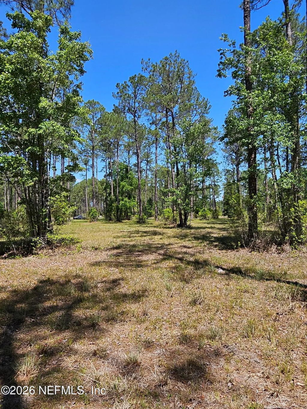 10136 Kings Crossing Drive, Jacksonville
