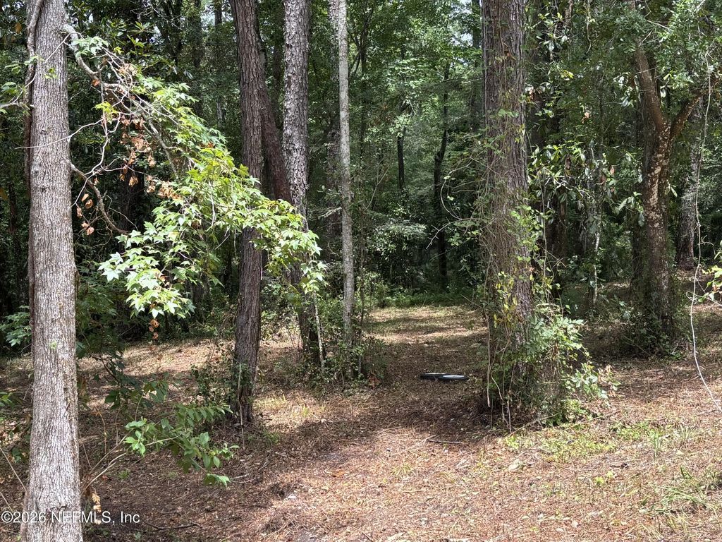 4819 Gopher Circle, Middleburg