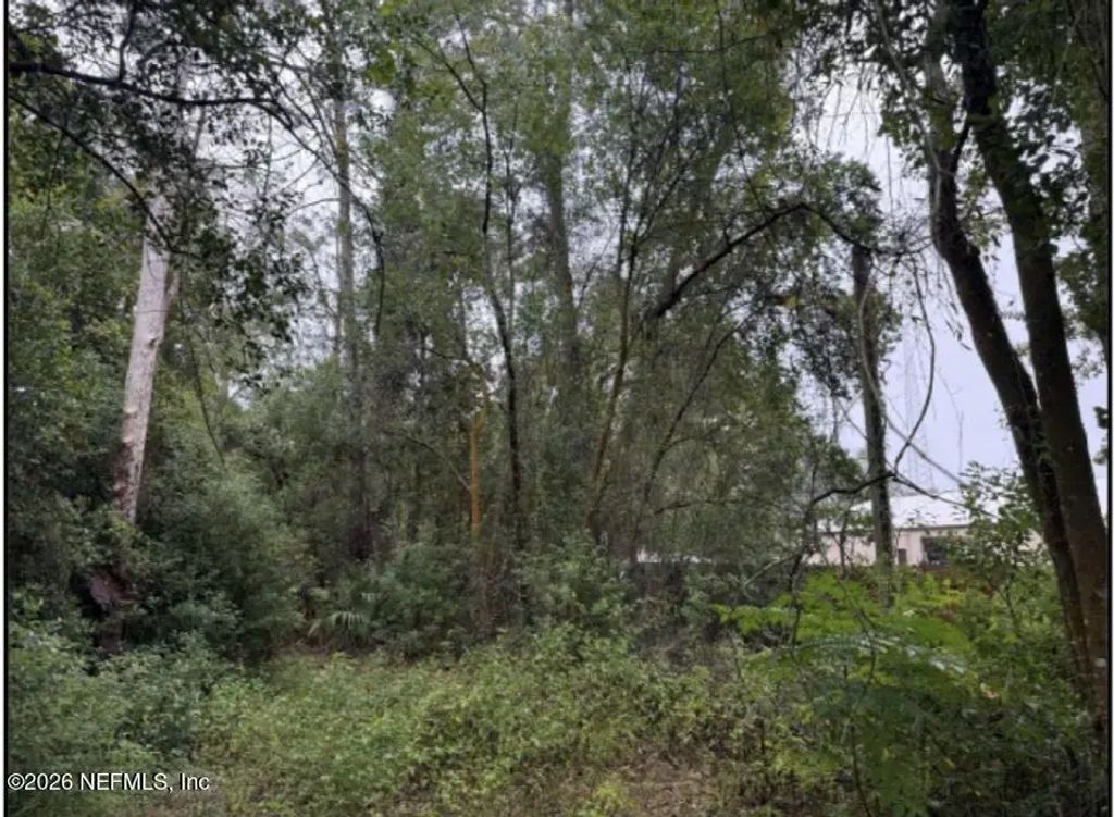 Permento Avenue, Jacksonville