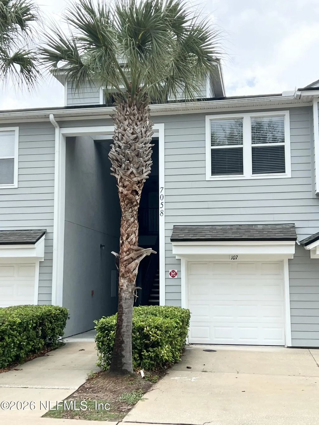 7058 Snowy Canyon Drive 107, Jacksonville