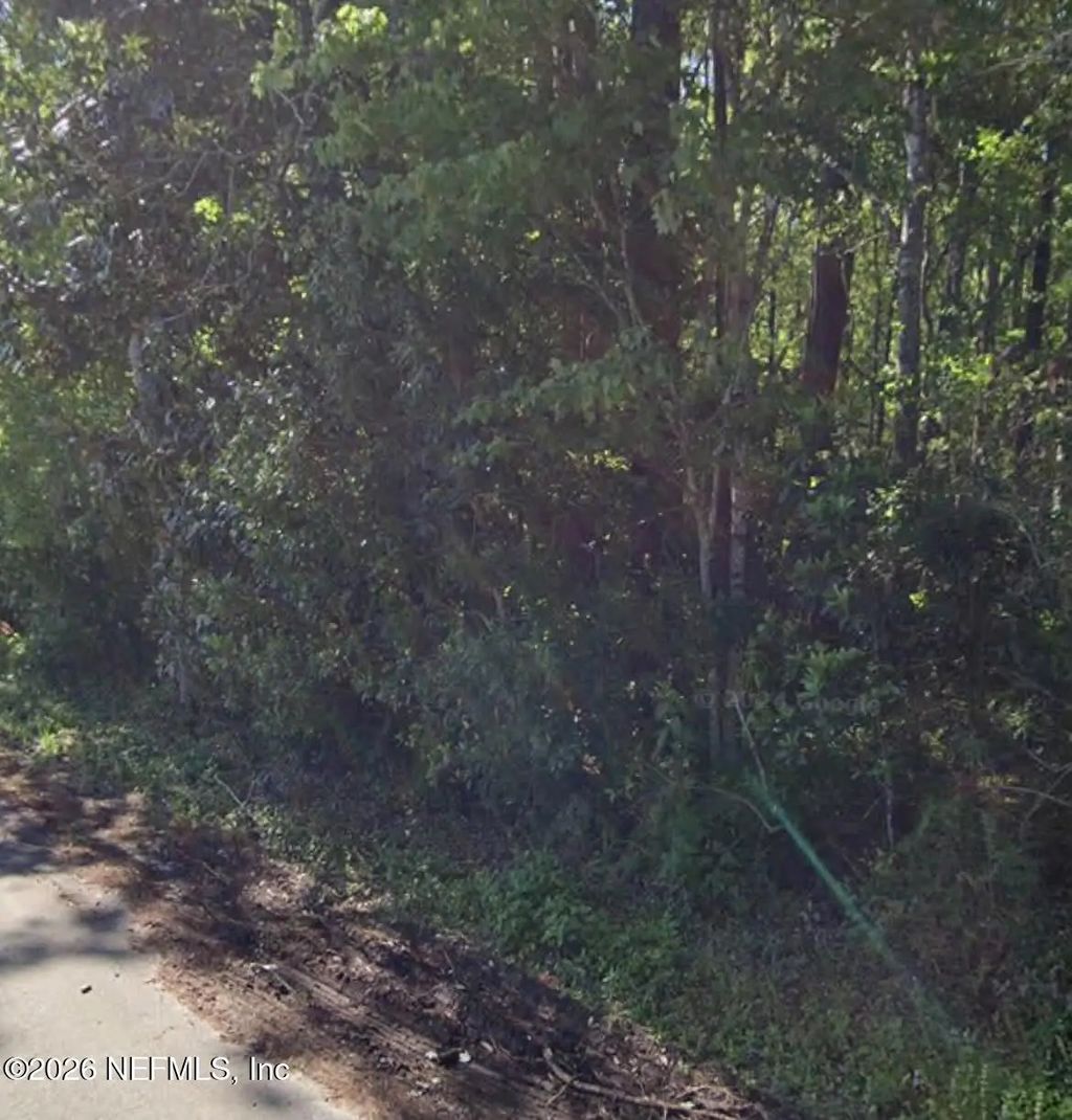 1124 Fleming Street, Fleming Island