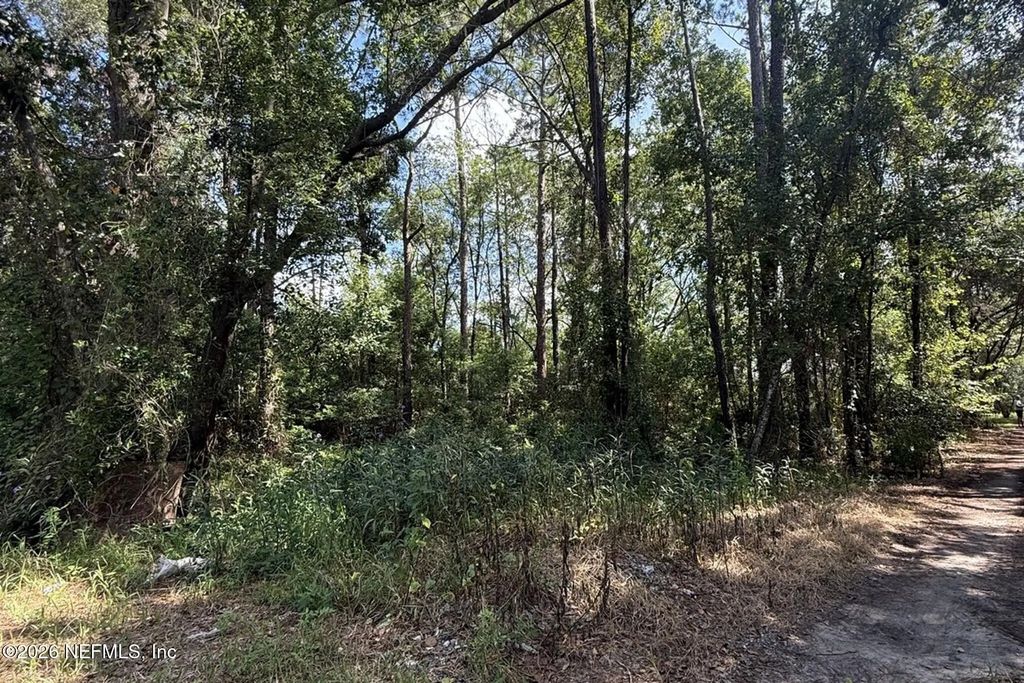 Dana Drive, Jacksonville