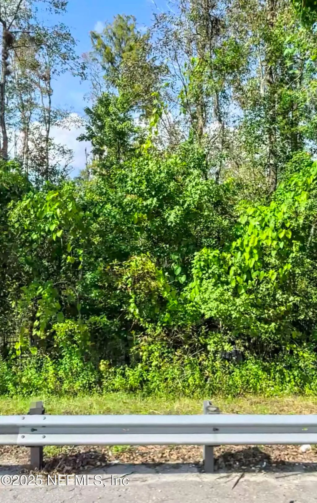 Beaver, Jacksonville