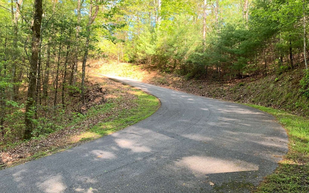 L 44 Fires Creek Cove Road, Hayesville NC Hayesville Lots/Land Homes