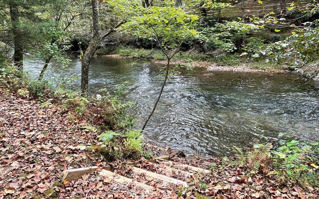 L 44 Fires Creek Cove Road, Hayesville NC Hayesville Lots/Land Homes