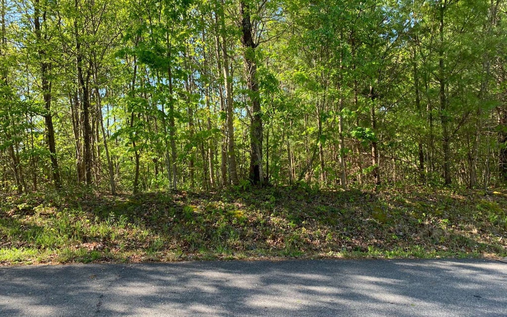 Lt 57 Fires Creek Cove Road, Hayesville NC Hayesville Lots/Land Homes
